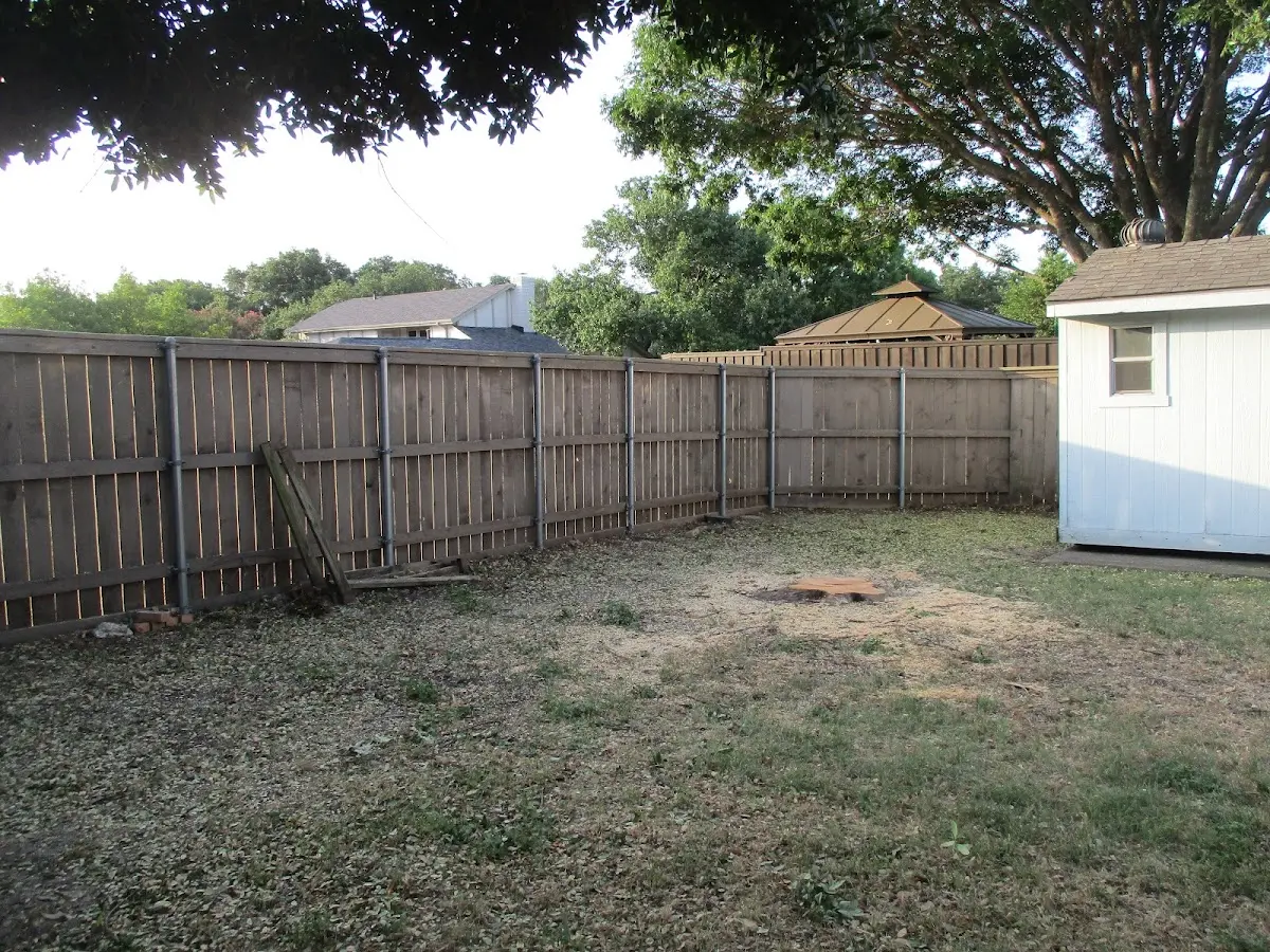 Cleared yard after professional tree removal in Taft
